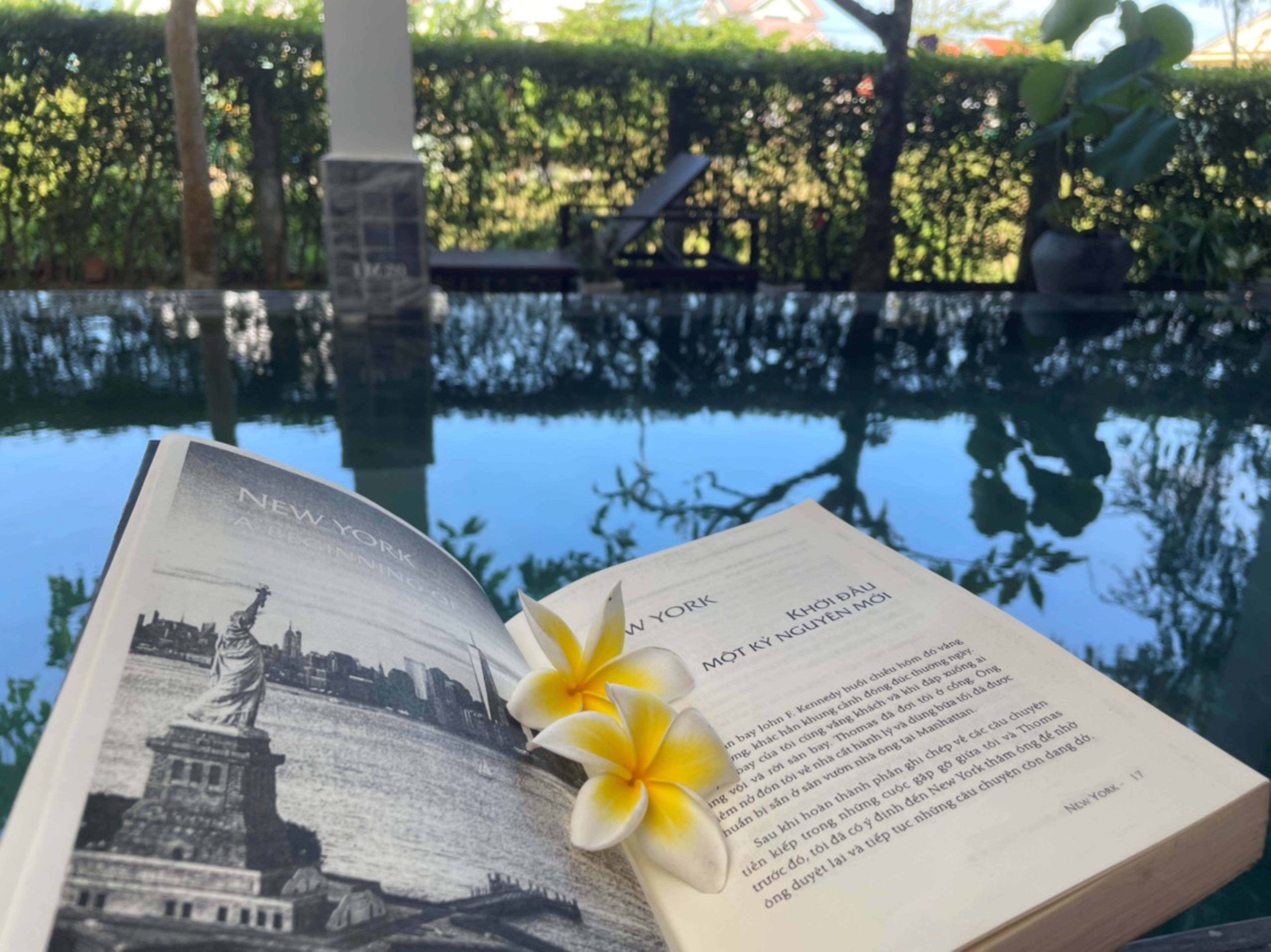 Book by the Pool